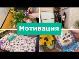 УБОРКА В КВАРТИРЕ ЕВРОДВУШКА / ЧИСТОТА И ПОРЯДОК В ДОМЕ!