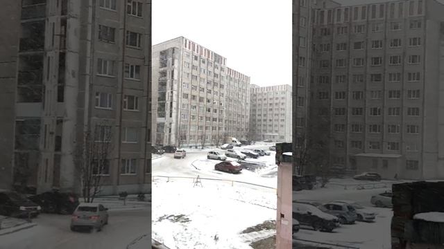 Сургут
