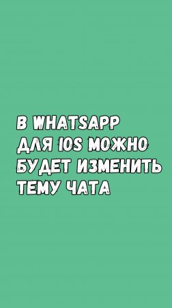 WhatsApp Для iOS Запустит Смену Темы Чатов