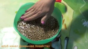 Как заставить курицу сесть на яйца