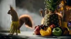 БЕЛКИ поют!!!! Про Новый Год!!!!!!???????????????????