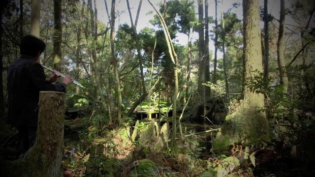 Syrinx (Claude Debussy) flute : Kirio Matsuda смотреть онлайн