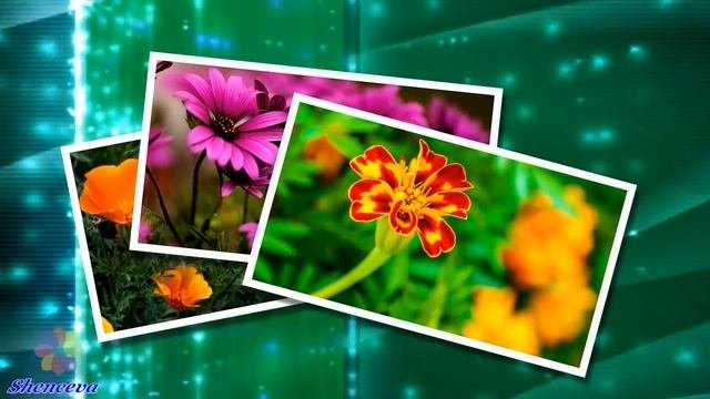 Нежный вальс цветов✦ - Видеорелакс - Потрясающая мелодия для души - Сергей Чекалин