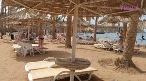 Египет SETI SHARM RESORT 4* ПЛЯЖ и Анимация Июнь 2023