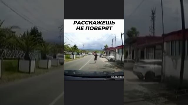 РАССКАЖЕШЬ НЕ ПОВЕРЯТ