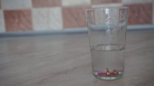 Золото. Чистим в домашних условиях.