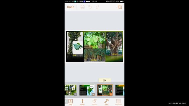 Natural Vegetation and Wild Life/India Forest and Vegetation/Sub-Geography/By Pradnya Pagare/bmc ed