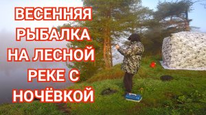 Первая Рыбалка с Ночёвкой/Весенняя Природа/Лесная Речка/Рыба Клюёт!