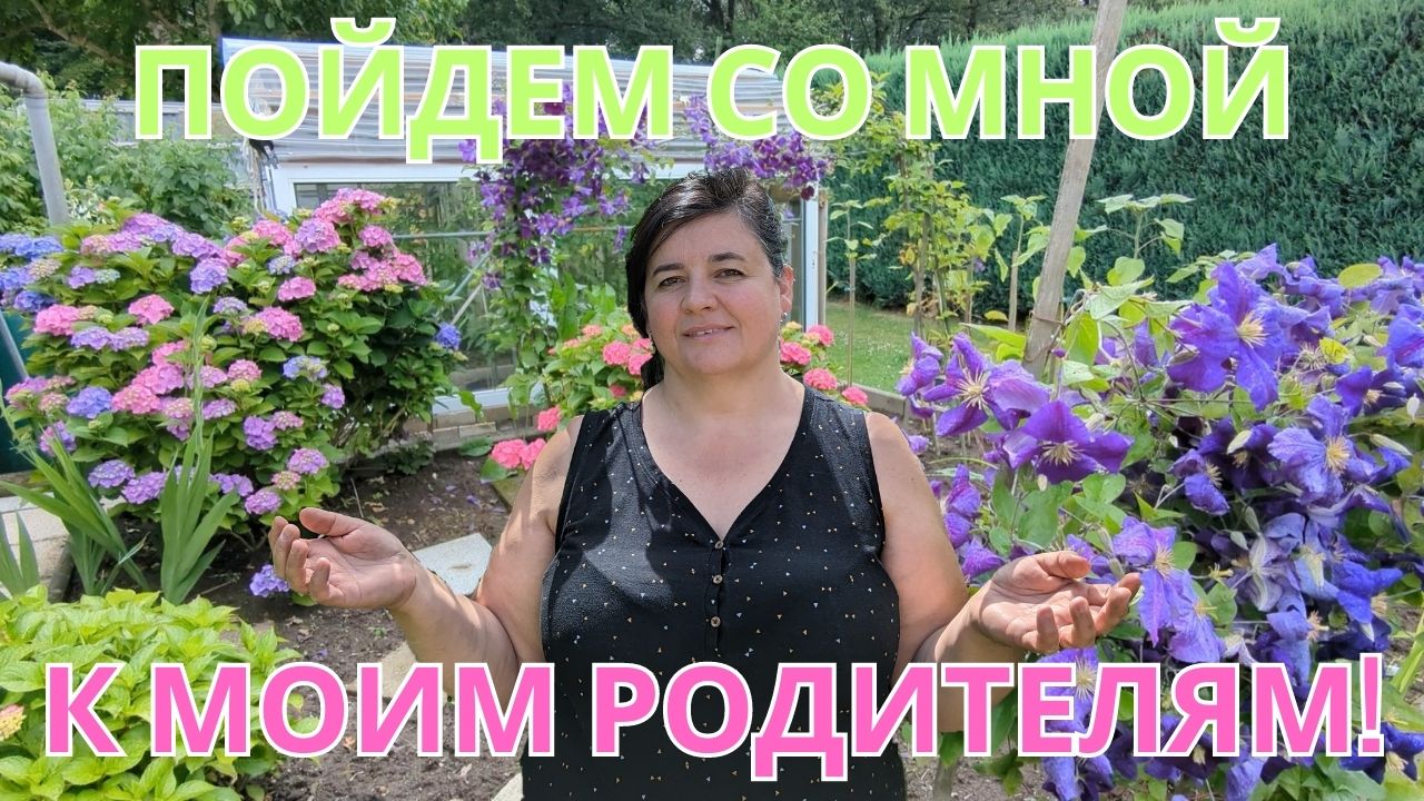 Красивые цветы и хорошие помидоры у родителей на даче ??? Просто Мария