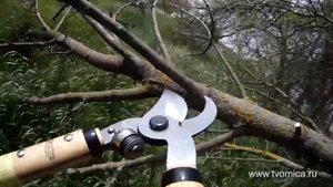 Сучкорез Okatsune № 220