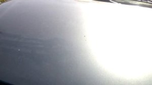 Фиат Альбеа , писк, свист во время пуска двигателя.