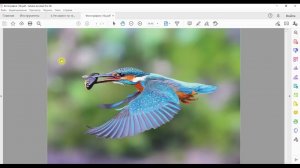 Печать на плотной бумаге