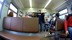 Король и шут на скрипке .Лесник.