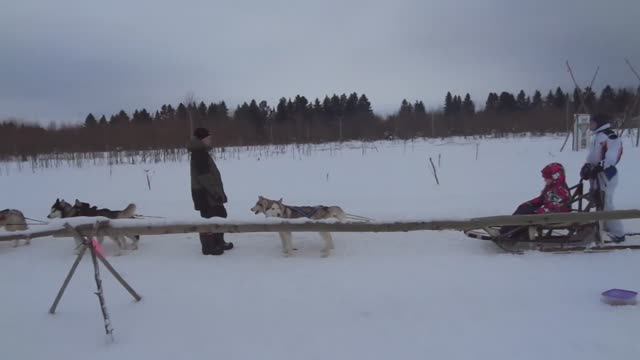 Катание на хаски, Пермский край