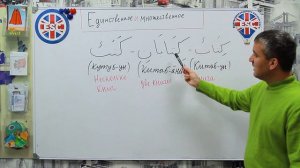 # Arabic. Единственное, двойственное и множественное число в арабском языке