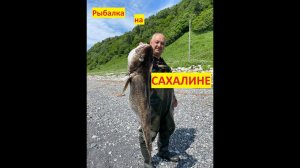 Рыбалка на Сахалине или - почему Сахалинцы не едят анчоус?