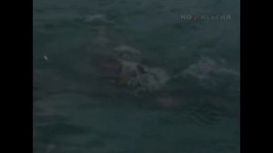 Гигантский бассейн под открытым небом. Бассейн "Москва"