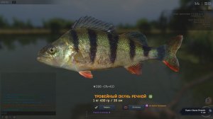 Fisher Online ХЕРСОН ДЕЛЬТА ОКУНЬ