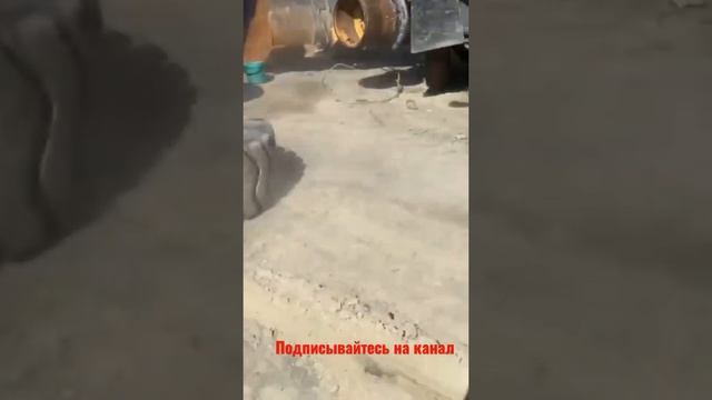 Быстрый съем покрышки