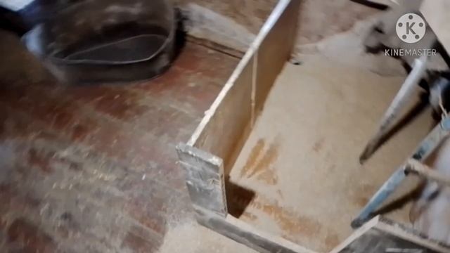 Где пропал? Вожу зерно новый урожай. Копаю чеснок.
