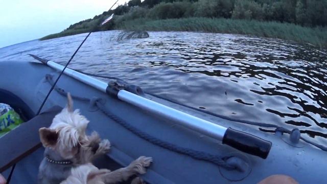 Рыбалка в Июле.Не ожиданный сюрприз 🎁 👍😂 смотреть онлайн