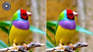 Найди отличия. Самый СЛОЖНЫЙ тест на внимательность