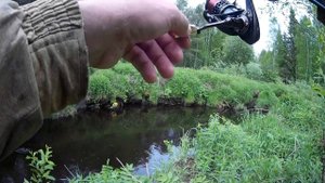 Хариус и елец на спиннинг, мормышинг