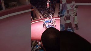 Несчастный случай в цирке В Гомеле