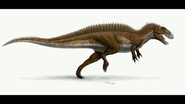 [ПЕРЕЗАЛИВ][АКРОКАНТОЗАВР] Необычный хищный динозавр, о котором незаслуженно забыли...