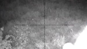 Охота на шакала. ч. 1  Cz-455 22.Lr