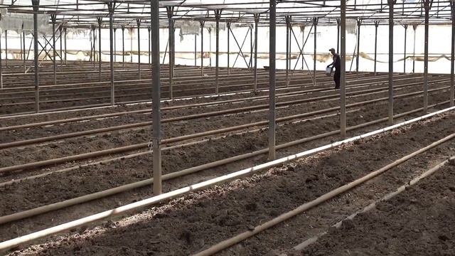 Внесение гуматов для улучшения старых грунтов. смотреть онлайн