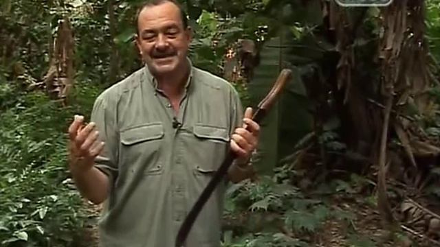 Далеко и еще дальше Венесуэла смотреть онлайн