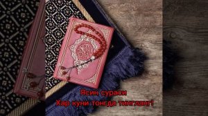 Слушайте утром и вечером сура - Ясин? يس #surah #коран #коранисунна #мишари_рашид