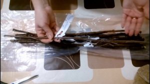 Агрофирма Росток  ОТЗЫВЫ + Распаковка посылки Черенки февраль 2015