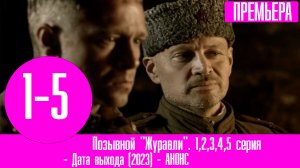 Позывной Журавли 1,2,3,4,5 серия (Военный фильм 2023)