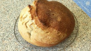 Паляница (Паляныця) украинская на закваске