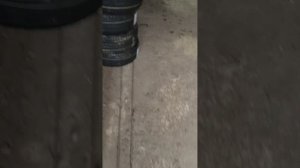 Лучшая шина для mazda 6 gh,что нужно знать о 17 дисках и зачем им нужна защита диска