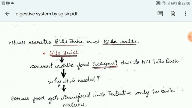 anatomy of gi tract with special reference to anatomy and function of stomach || digestive system смотреть онлайн