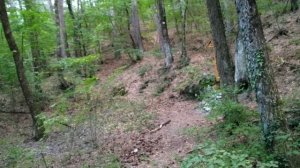 Багреевка. Пожалуй, самое жуткое место в Ялте