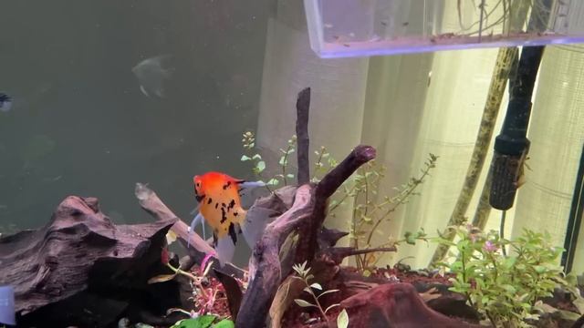 Ужас!что случилось?реакция на маску LANCOME,живём в богатой деревне лентяйка на работе в воскресень смотреть онлайн