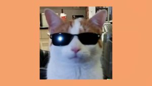 Sped Up Alex G Playlist pt. 1