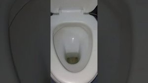 самый эффективный метод для прочистки унитаза.