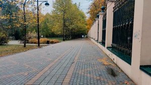 Как пробежать МАРАФОН. Мой первый марафон онлайн. Бег как тренировка.