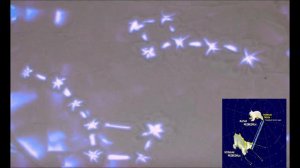 Детский мультфильм, снятый в технике песочная анимация с использованием оборудования СОЮЗМУЛЬТ-ЭЛТИ