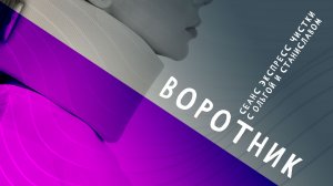 Воротник | Экспресс чистка