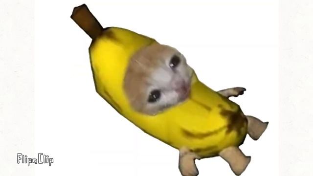 Кот в банане смотреть онлайн