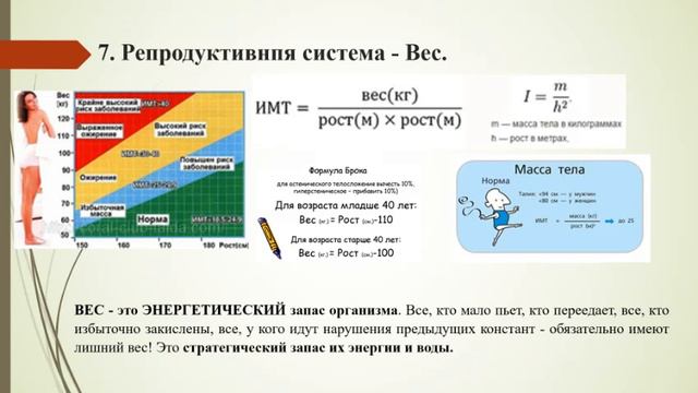 Саморегуляция и самовосстановление организма как основа консультирования диетолога / нутрициолога