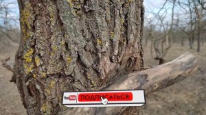 строим землянку и беседку в лесу