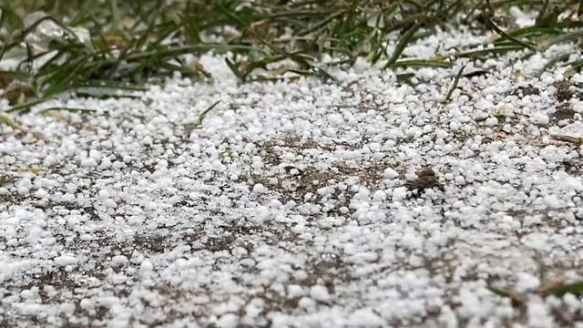 Обычный день на конюшне День Вики конюшня лошади шляйх/ лошади Schleich смотреть онлайн