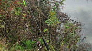 SHIMANO VANFORD, ТЫ И ПРАВДА ЛУЧШАЯ? АПГРЕЙД DAIWA 20 LUVIAS LT 3000.